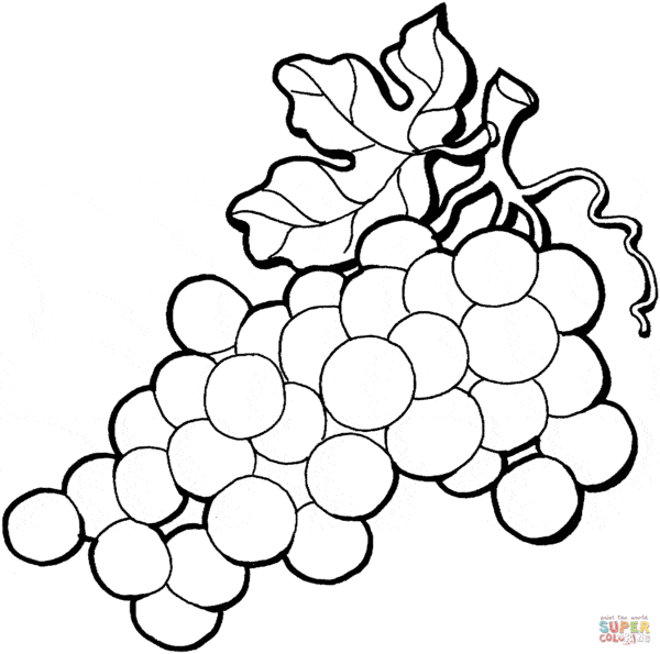 24 atividade de colorir de cacho de uva Super Coloring