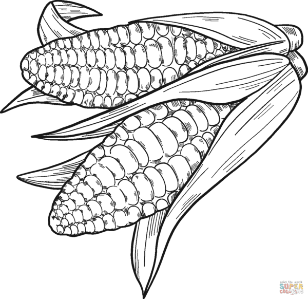 25 desenho de milho para imprimir gratis Super Coloring