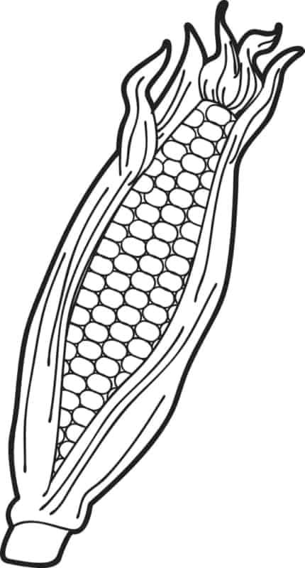 27 desenho de espiga de milho supplyme