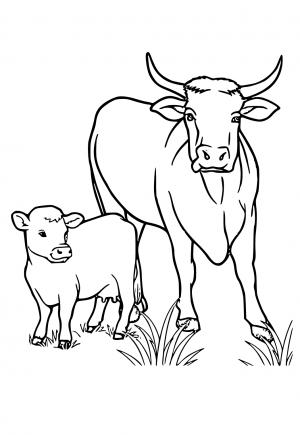 28 desenho de vaca com bezerro Babeled