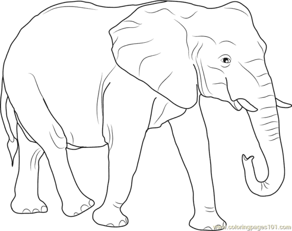 3 desenho de elefante grande para colorir ColoringPages101
