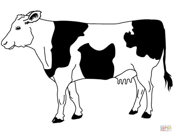 3 desenho de vaca para imprimir Super Coloring