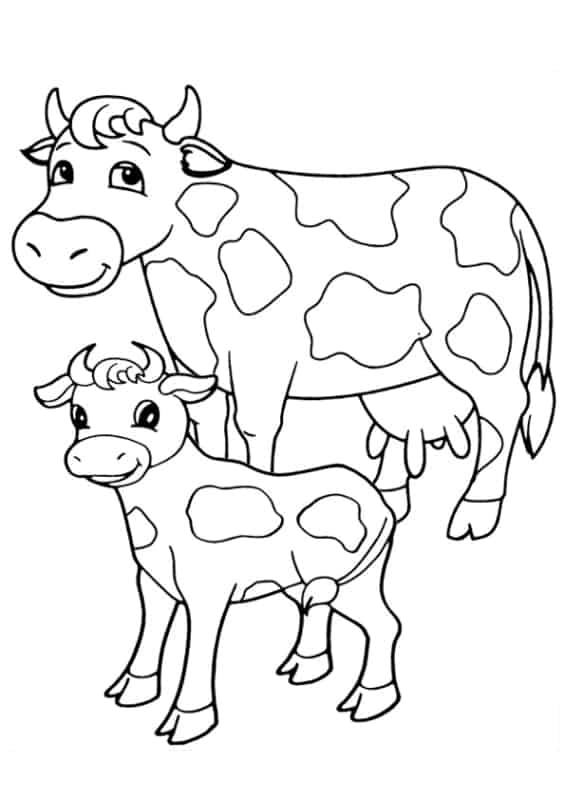 30 vaca e bezerro para pintar Coloring Pages