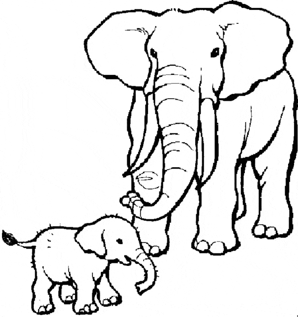 31 desenho de elefantes para colorir Coloring Home