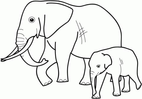 32 elefante com filhote para colorir Best Coloring Pages For Kids