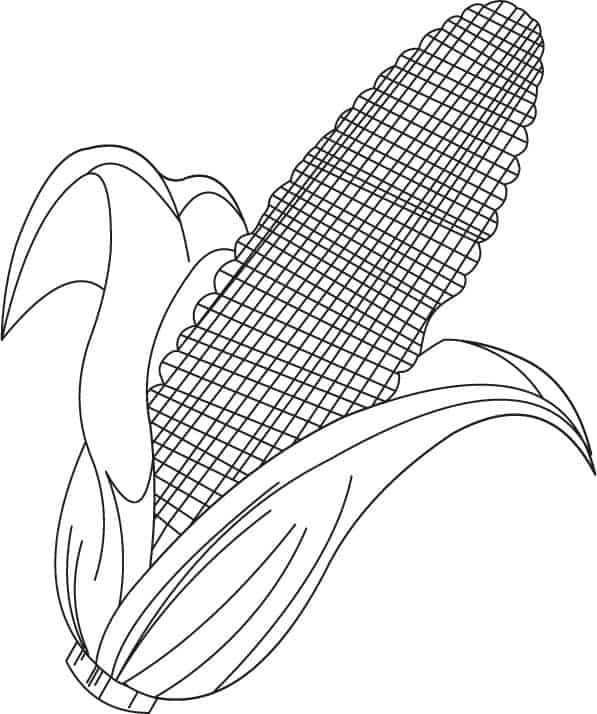 35 desenho simples de espiga de milho Coloring Pages
