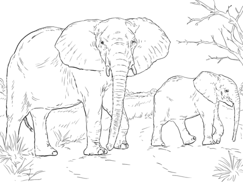 38 atividade de elefantes para imprimir Super Coloring