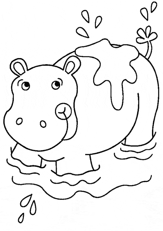 38 hipopotamo na agua para colorir Coloring Home