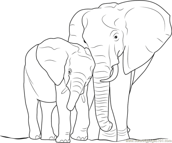 39 desenho com filhote de elefante para imprimir ColoringPages101