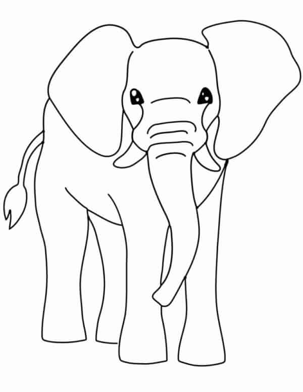 4 elefante grande e simples para colorir Coloring Pages