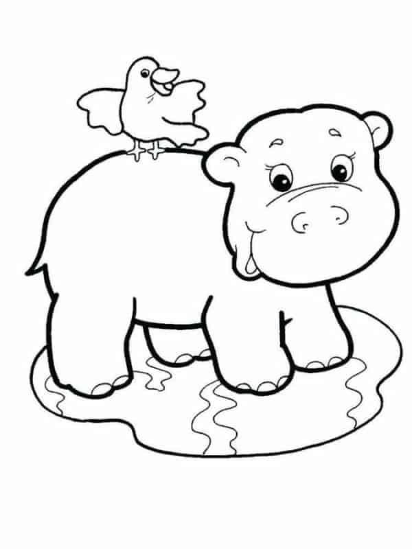 40 desenho fofo de hipopotamo My coloring pages