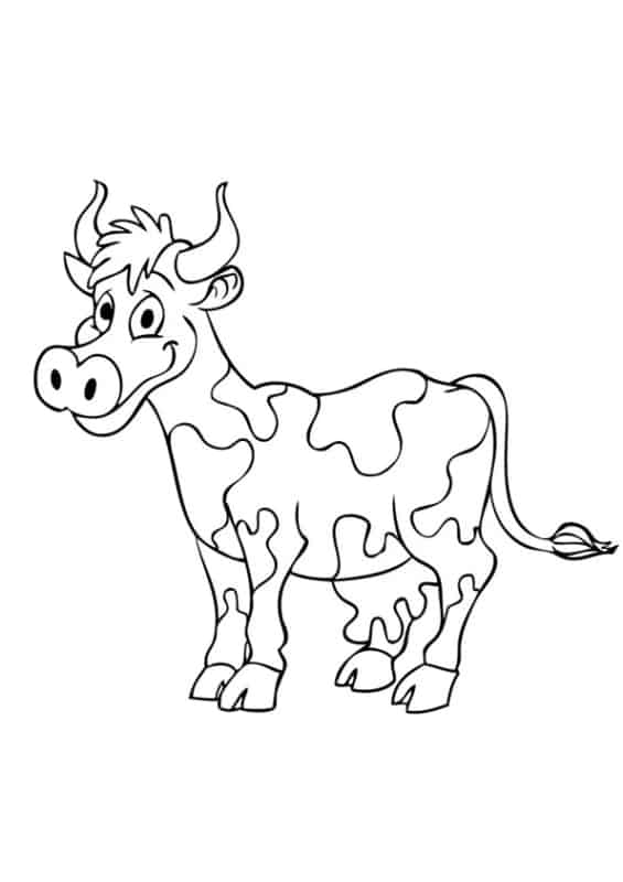 42 atividade para colorir de vaca malhada Coloring Pages