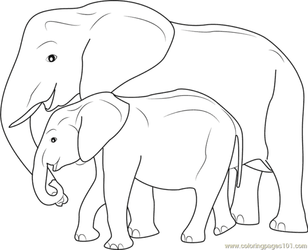 43 atividade de elefantes para imprimir gratis ColoringPages101