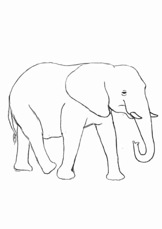 9 elefante de colorir Coloring Pages