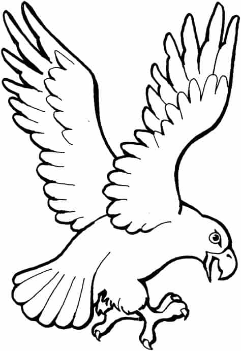 aguia para colorir voando