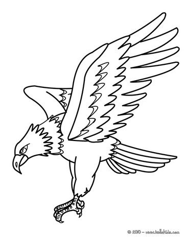 desenho com aguia para colorir