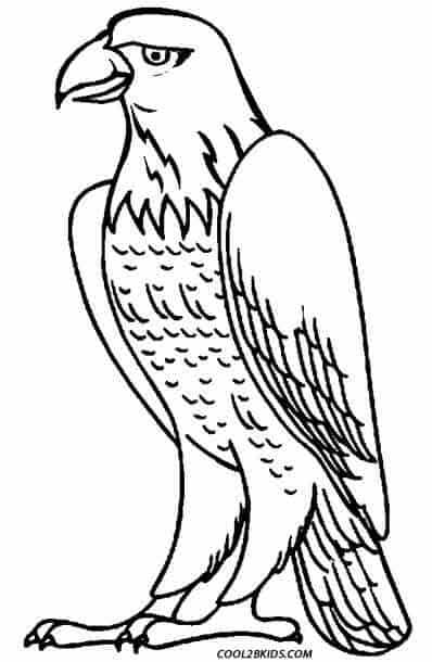 desenho de aguia para colorir
