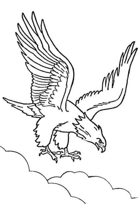 figura de aguia para pintar