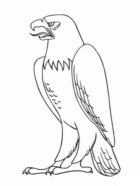 ideias de aguia para colorir