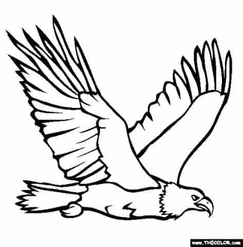 lindo aguia para colorir
