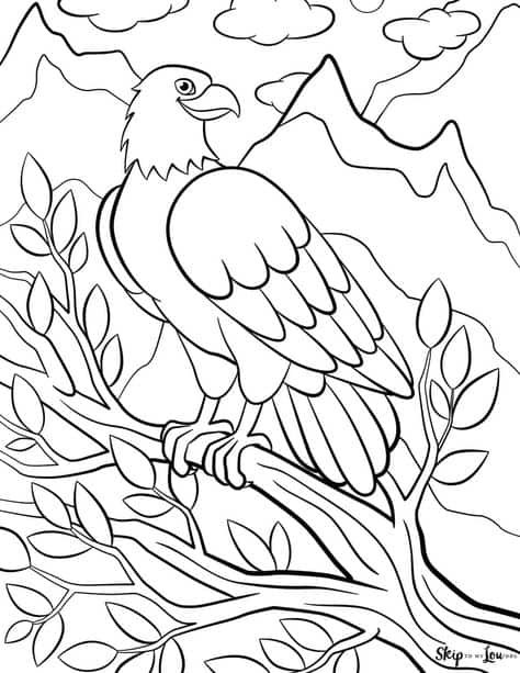 lindo desenho de aguia para colorir