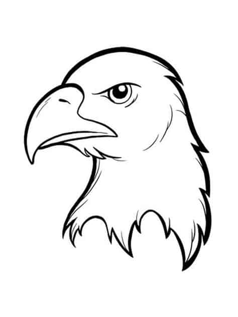 rosto da aguia para colorir