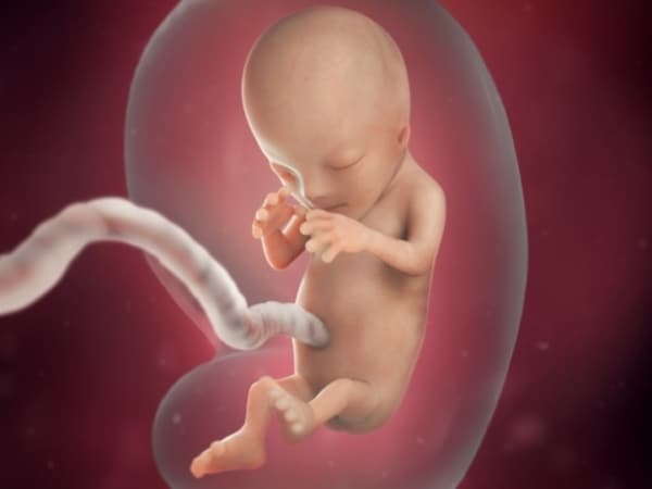 10 desenvolvimento bebe na gravidez BabyCenter
