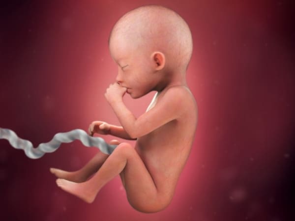 18 desenvolvimento do bebe na gestacao BabyCenter