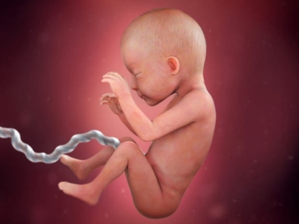 24 desenvolvimento do bebe na gravidez BabyCenter