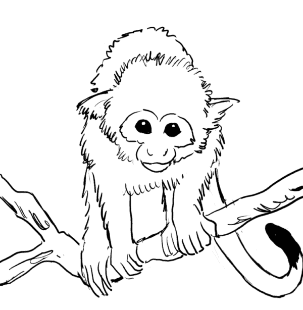 Desenho para colorir macaco · Creative Fabrica