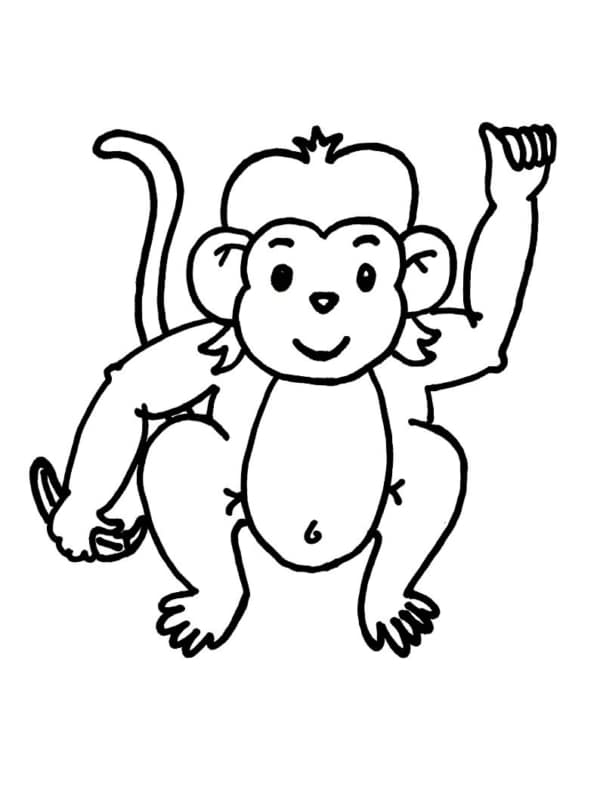 Desenho para colorir Macaco mostrando sua bunda · Creative Fabrica