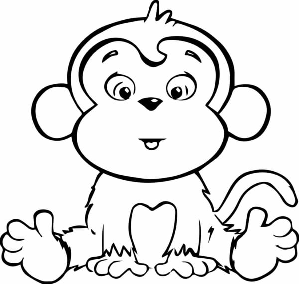 51 Desenhos de Macacos para Colorir - Só desenhos para Colorir