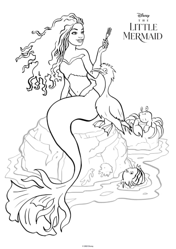 53 Desenhos da Ariel para Colorir