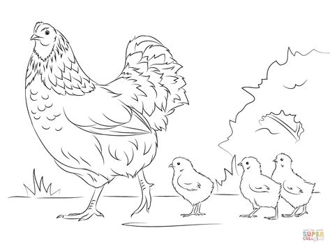 Desenho de Frango para colorir  Desenhos para colorir e imprimir gratis