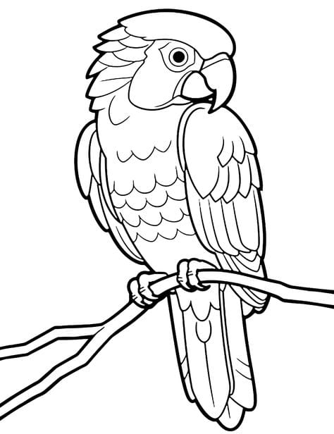 Desenhos para colorir de desenho de um passarinho fofo para