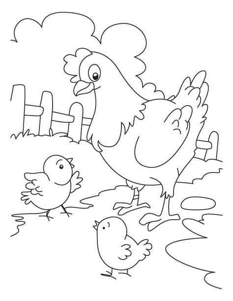 Desenho de Frango para colorir  Desenhos para colorir e imprimir gratis