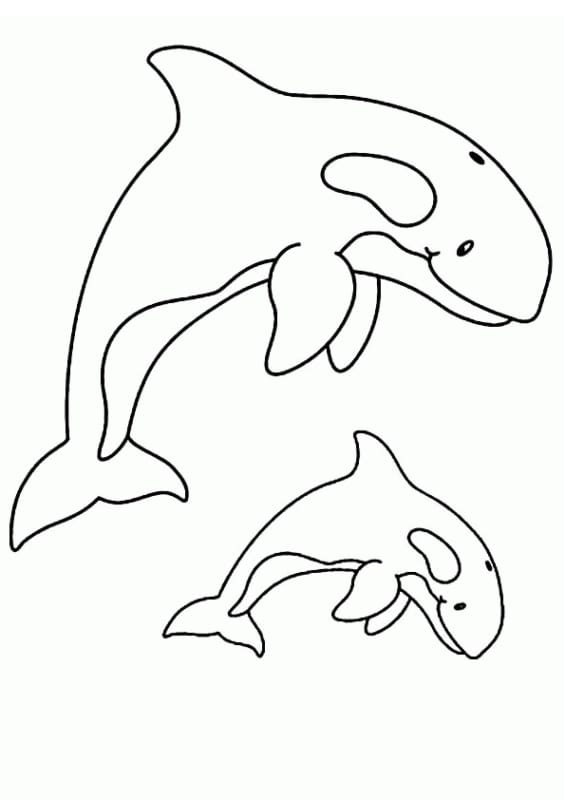 Desenho para colorir de baleias em preto e branco · Creative Fabrica