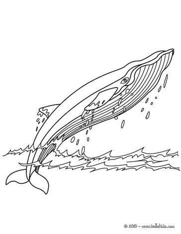 Coloring page - Baleia no Oceano